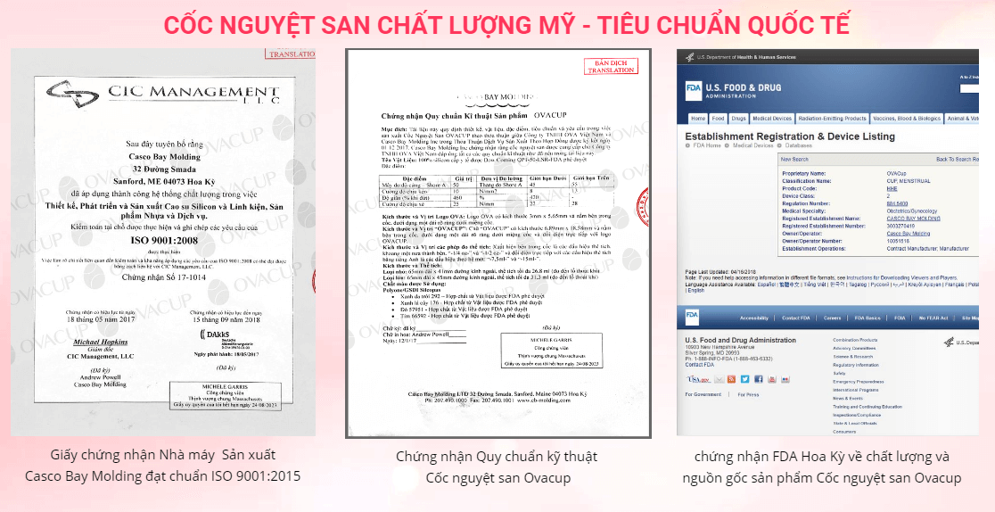 giấy chứng nhận của cốc nguyệt san ova